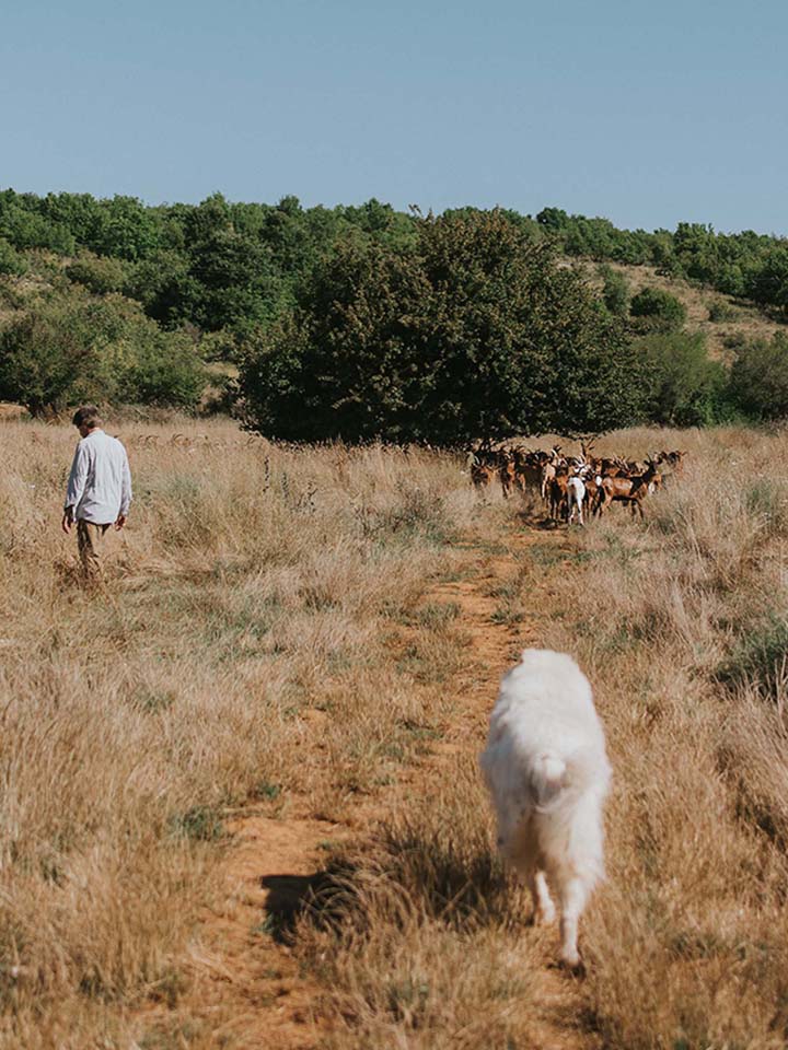 Pasture land at Kumparička