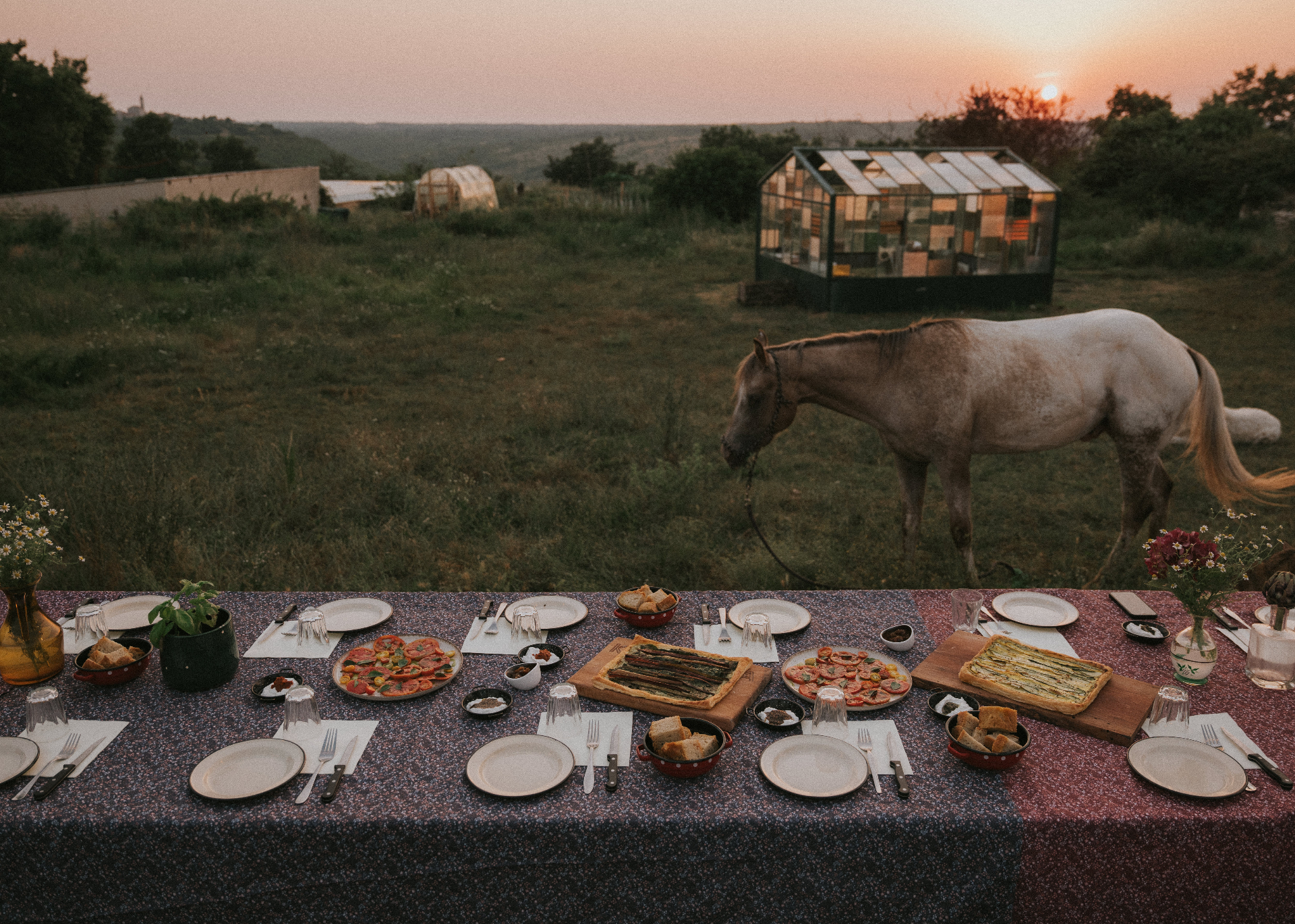 Long table set for sunset